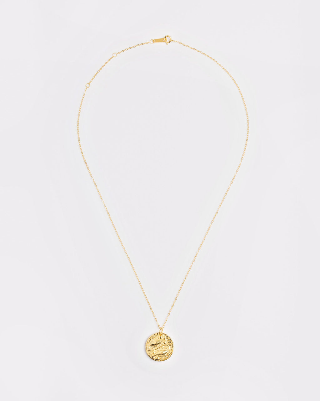 The Pisces Baroque Pendant Necklace